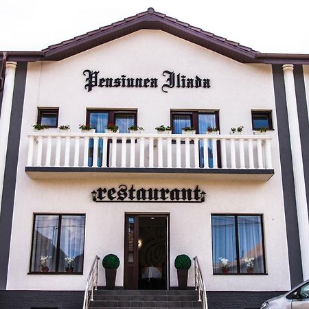 Pensiunea Iliada Sibiu Exterior foto